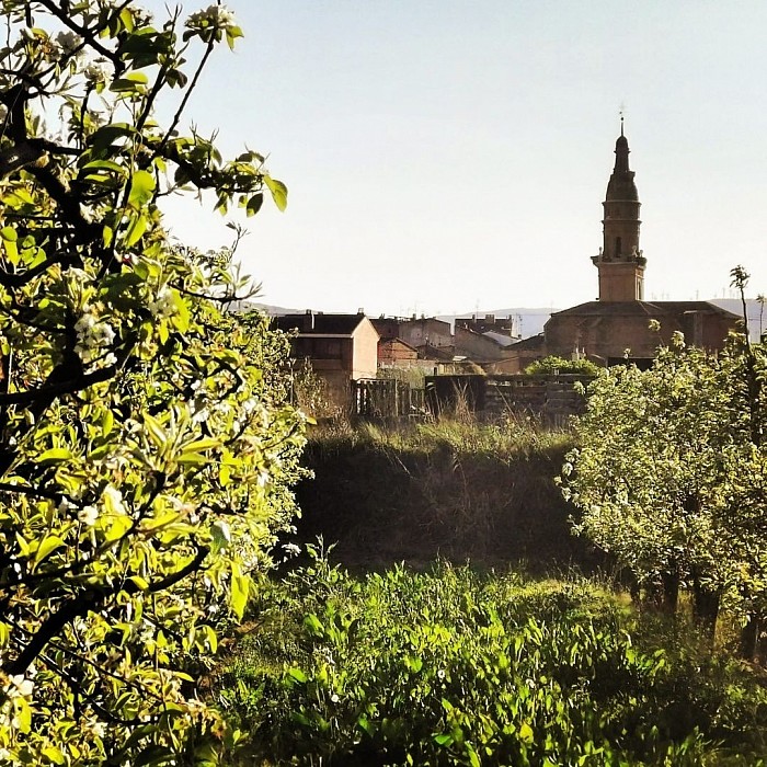 Imagen de Rincón del Soto (La Rioja)
